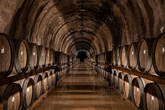 Garda - Rocca-Sveva-cellar